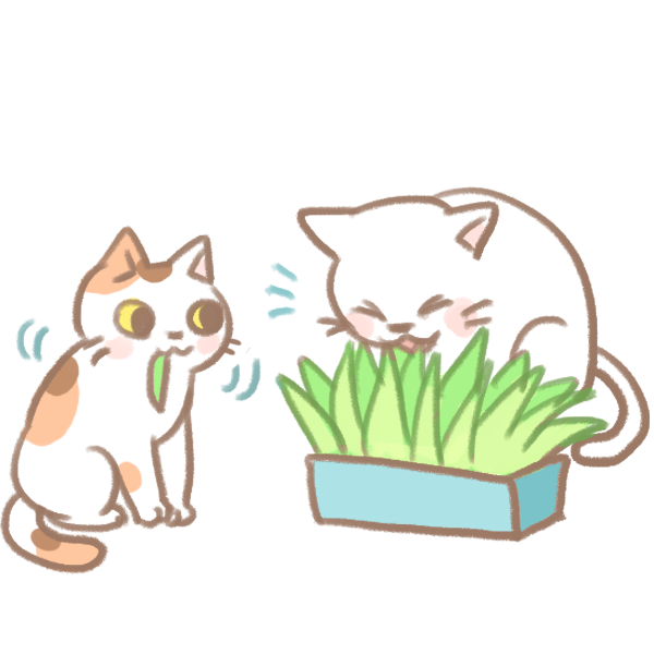 貓吐毛球怎麼辦_5 貓吐毛球怎麼辦_5