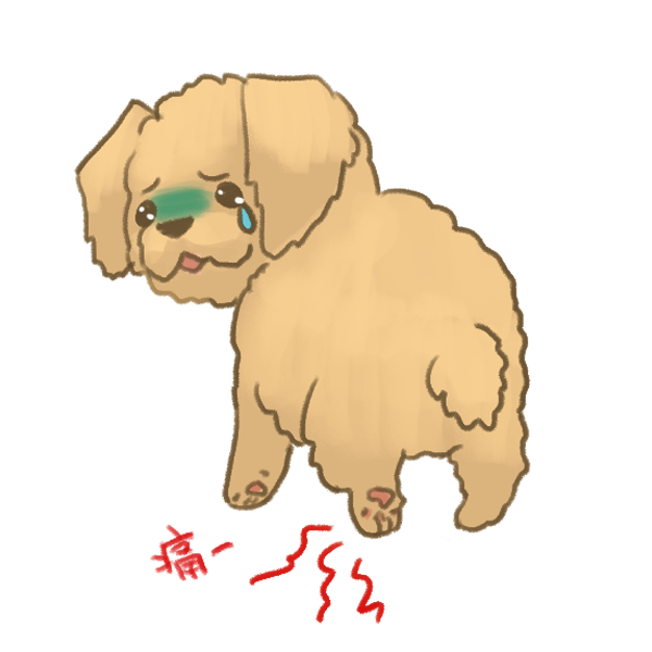 狗的肉球保養_6 狗的肉球保養_6