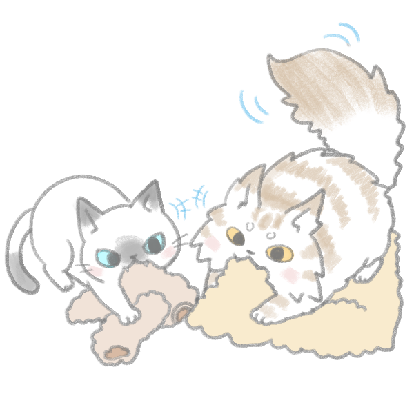 貓咪異食症上_6 貓咪異食症上_6