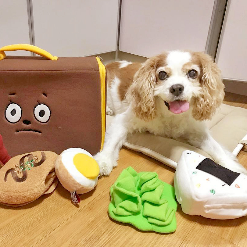 Studio Ollie 炸豬排 寵物嗅聞玩具 商品說明頁 Studio Ollie 炸豬排 寵物嗅聞玩具 商品說明頁