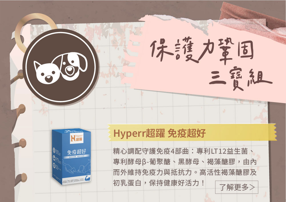 保護力鞏固三寶組01 保護力鞏固三寶組01