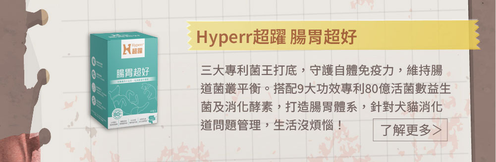 保護力鞏固三寶組02 保護力鞏固三寶組02