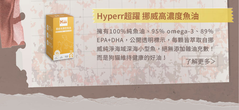 保護力鞏固三寶組03 保護力鞏固三寶組03