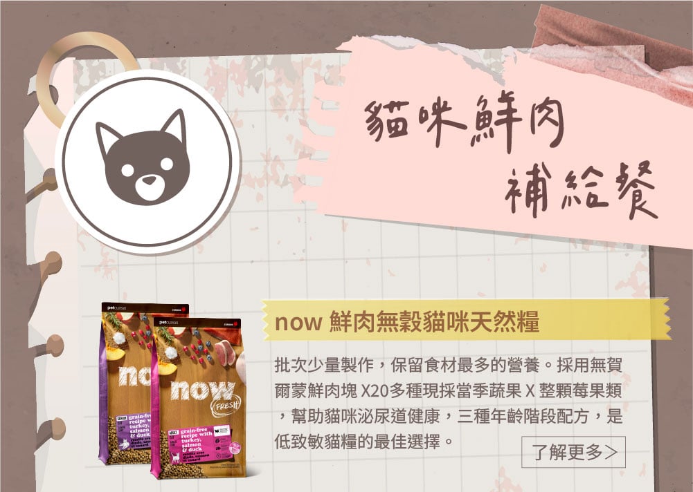 now貓咪鮮肉補給餐
