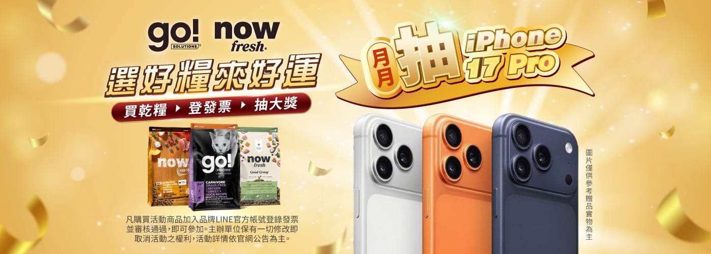 2026 go! now 月月抽_pc