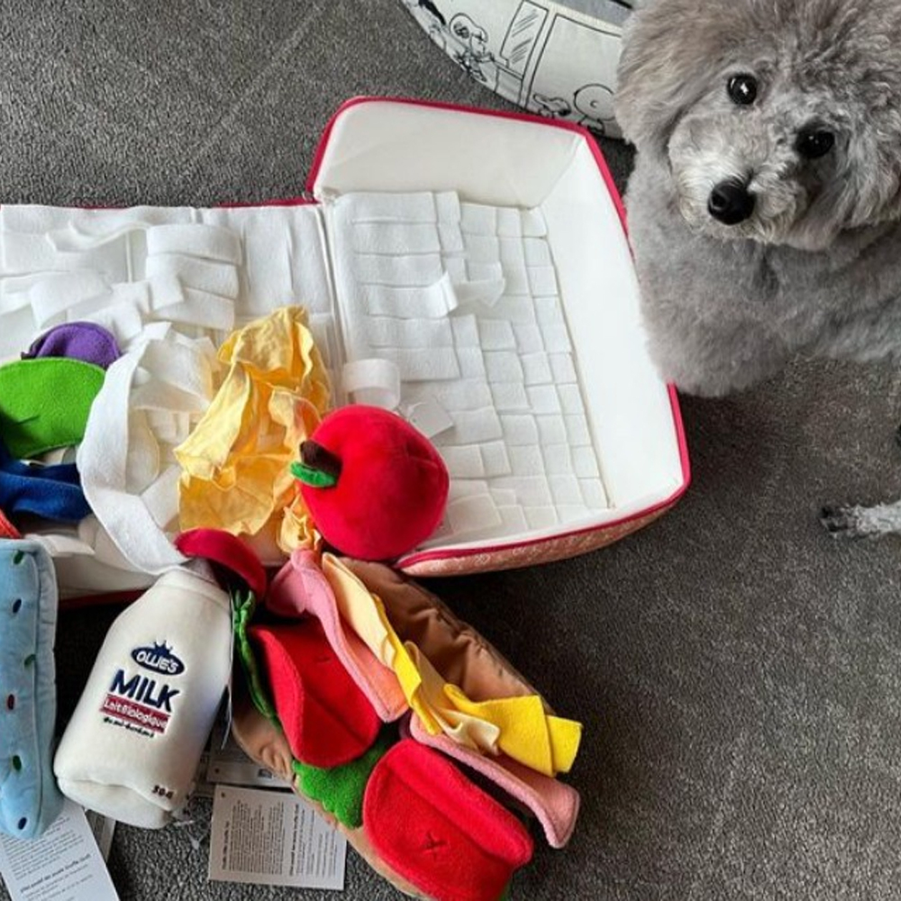 法國Studio Ollie 夏日野餐盒 寵物嗅聞玩具 法國Studio Ollie 夏日野餐盒 寵物嗅聞玩具