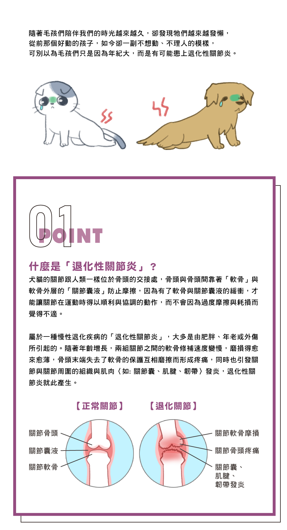 寵物的退化性關節炎是什麼_1