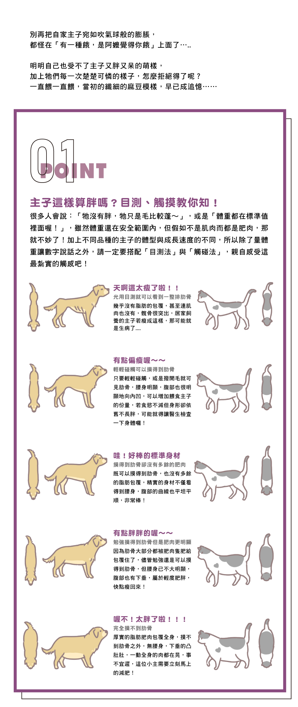 寵物肥胖解決_1