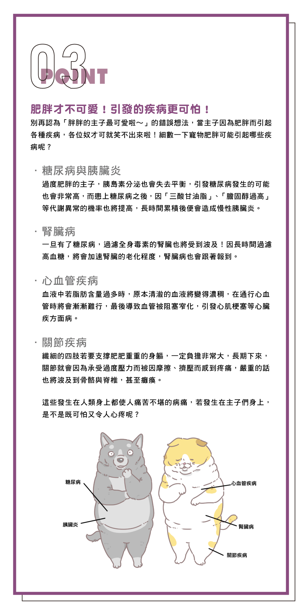 寵物肥胖解決_3