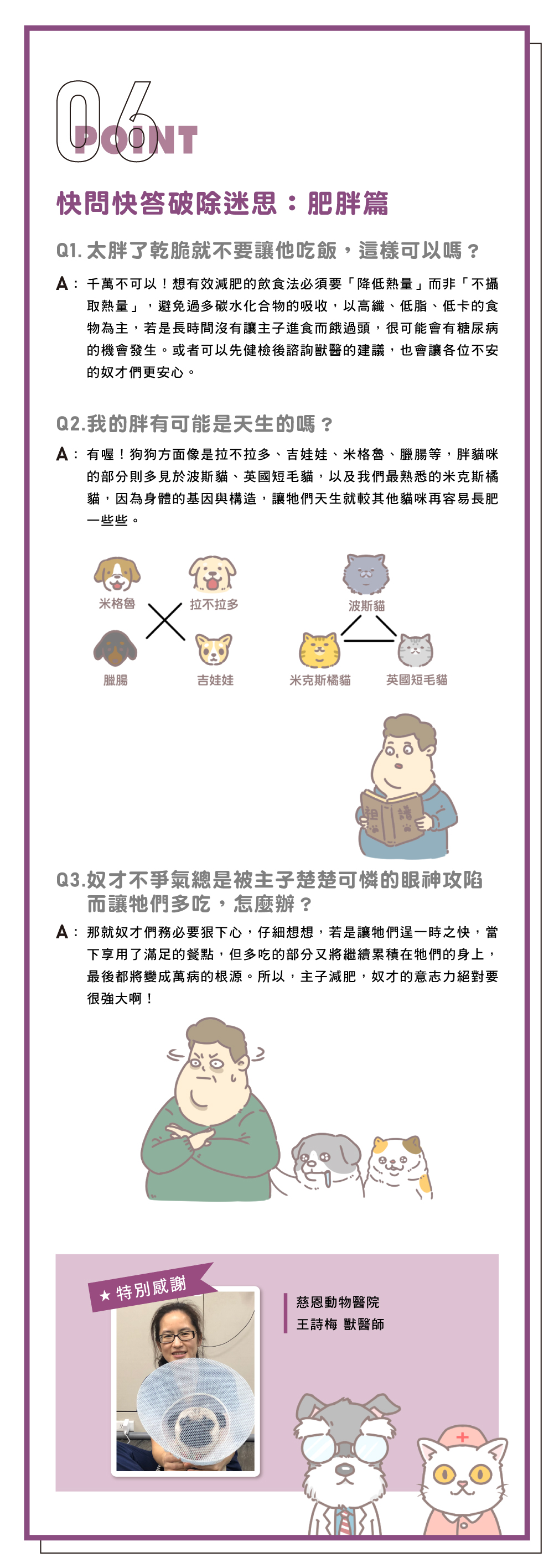 寵物肥胖解決_6