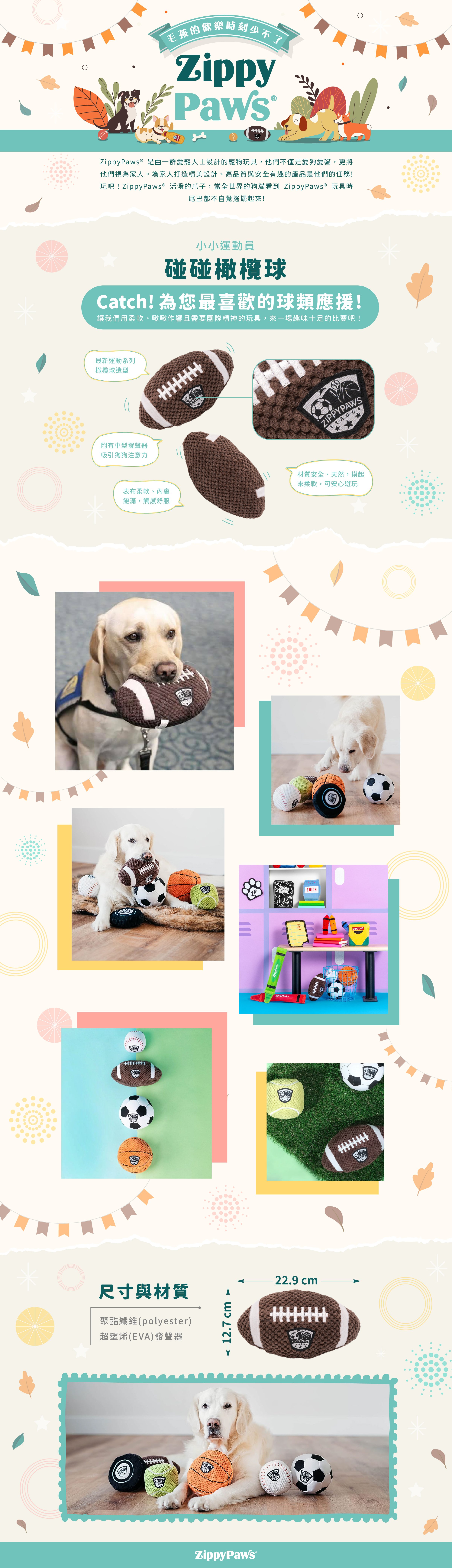 ZP_橄欖球_狗玩具_商品說明頁01