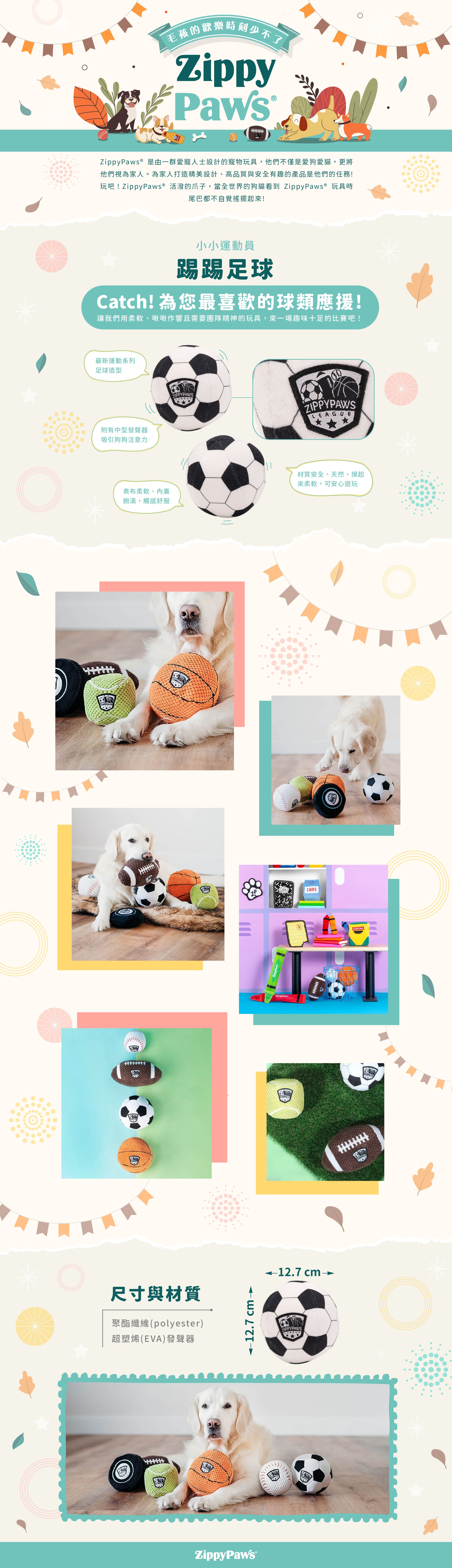 ZP_足球_商品說明頁01