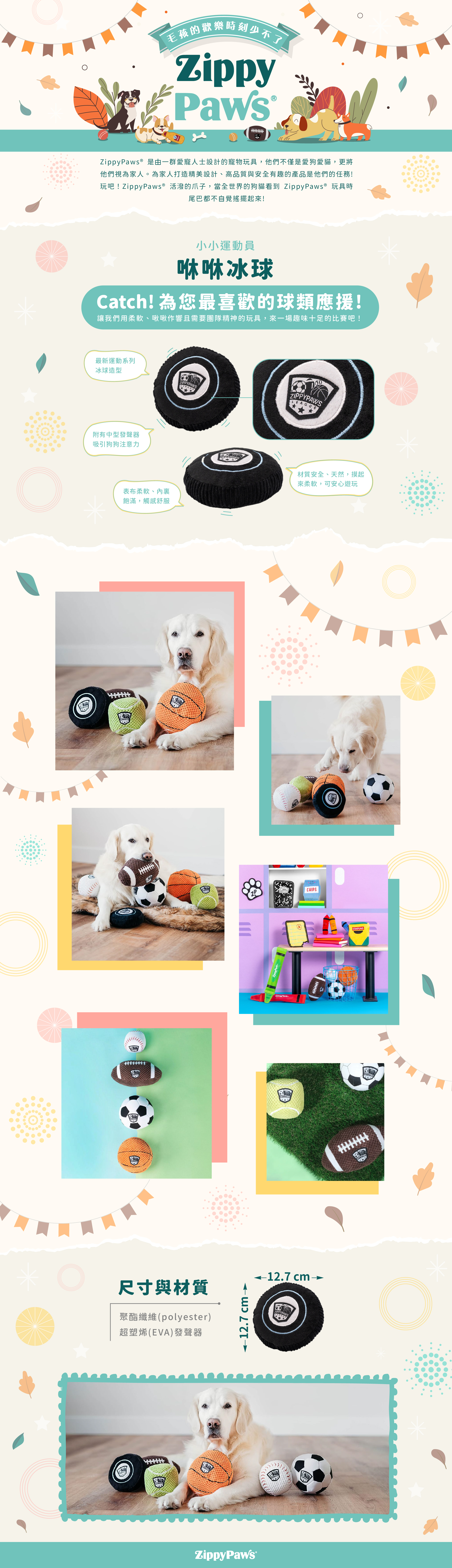 ZP_冰球_商品說明頁01