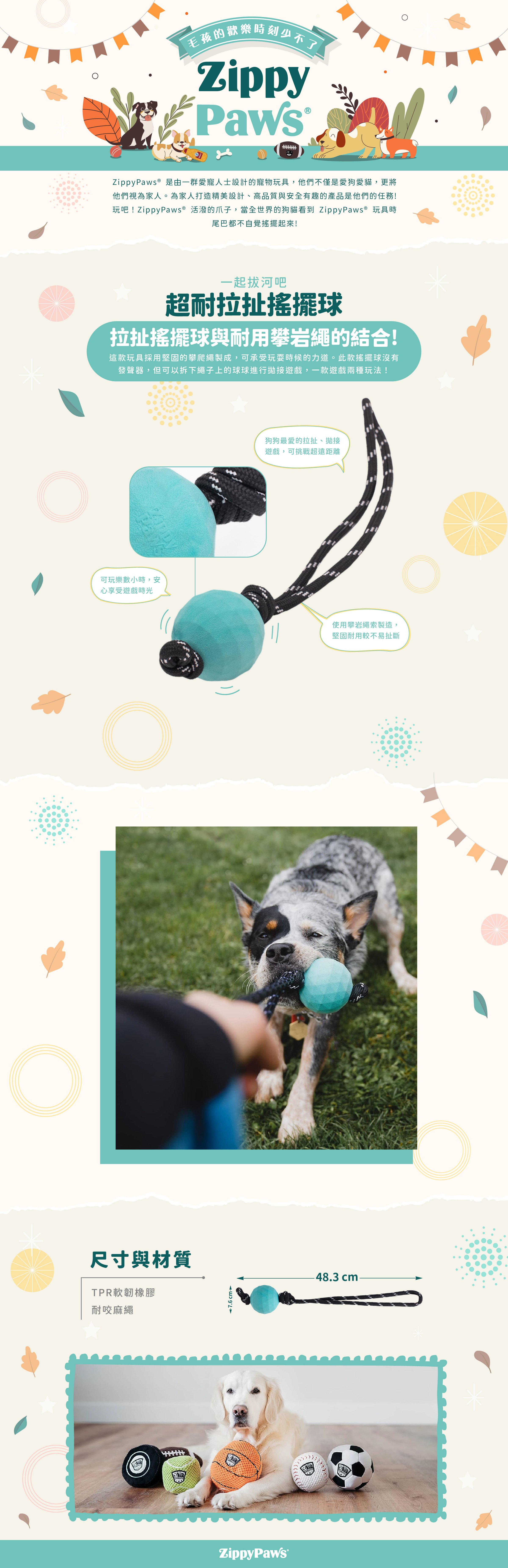 ZP_超耐拉扯搖擺球_商品說明頁01