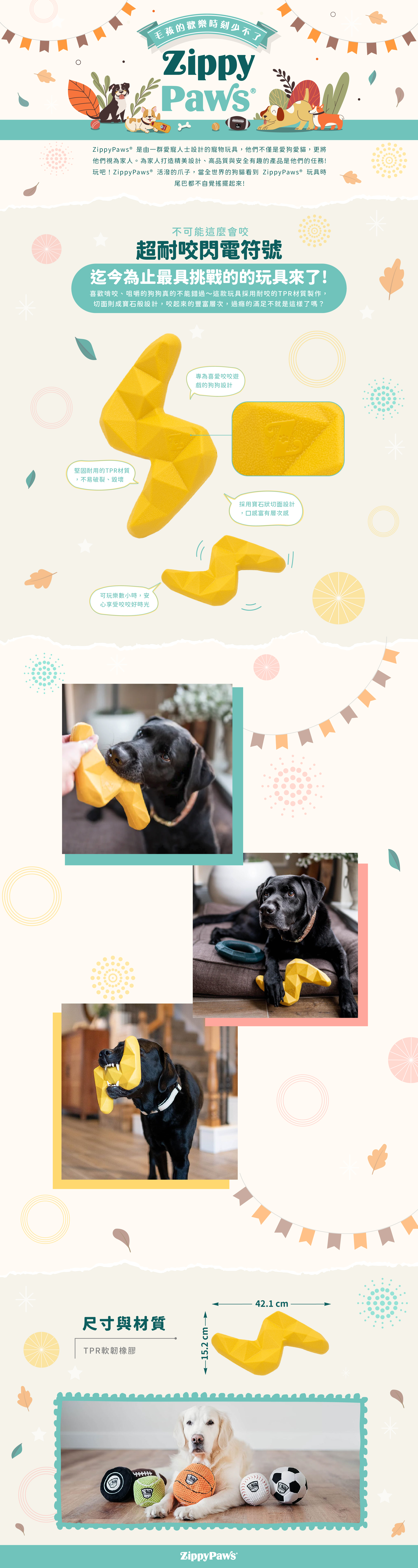 ZP_超耐咬閃電符號_商品說明頁01