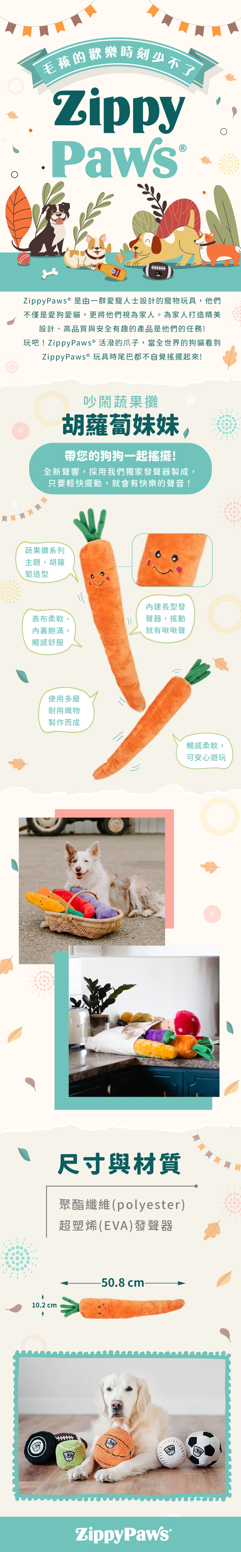 ZP_胡蘿蔔_商品說明頁02 ZP_胡蘿蔔_商品說明頁02