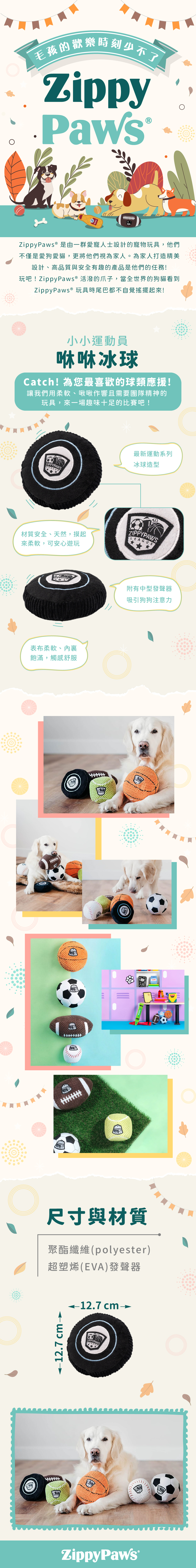 ZP_冰球_商品說明頁02