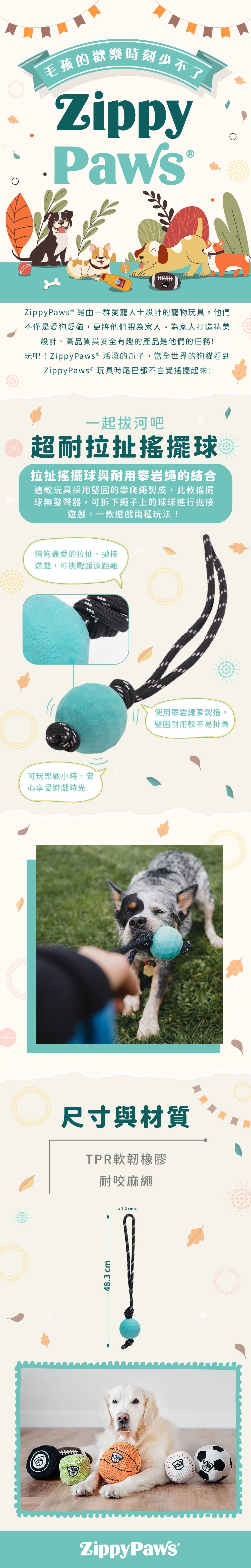 ZP_超耐拉扯搖擺球_商品說明頁02