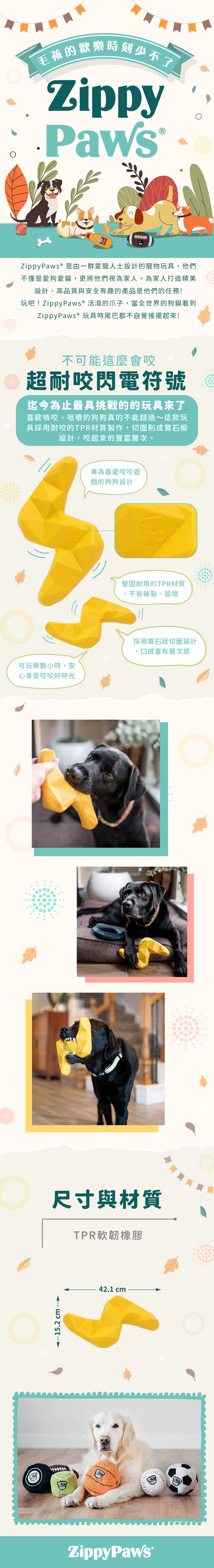 ZP_超耐咬閃電符號_商品說明頁01