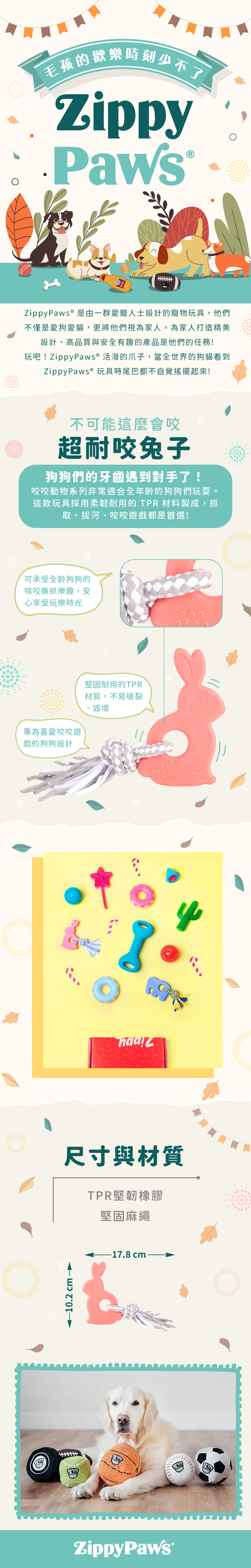 ZP_超耐咬兔子_商品說明頁02