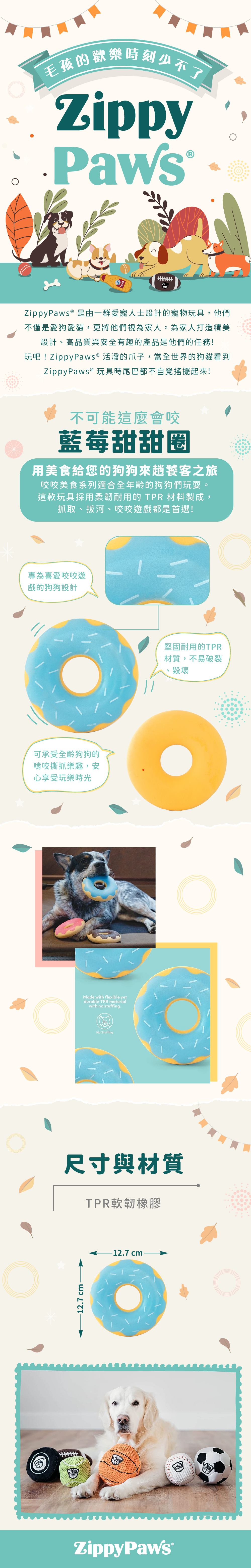 ZP_藍莓甜甜圈_商品說明頁02