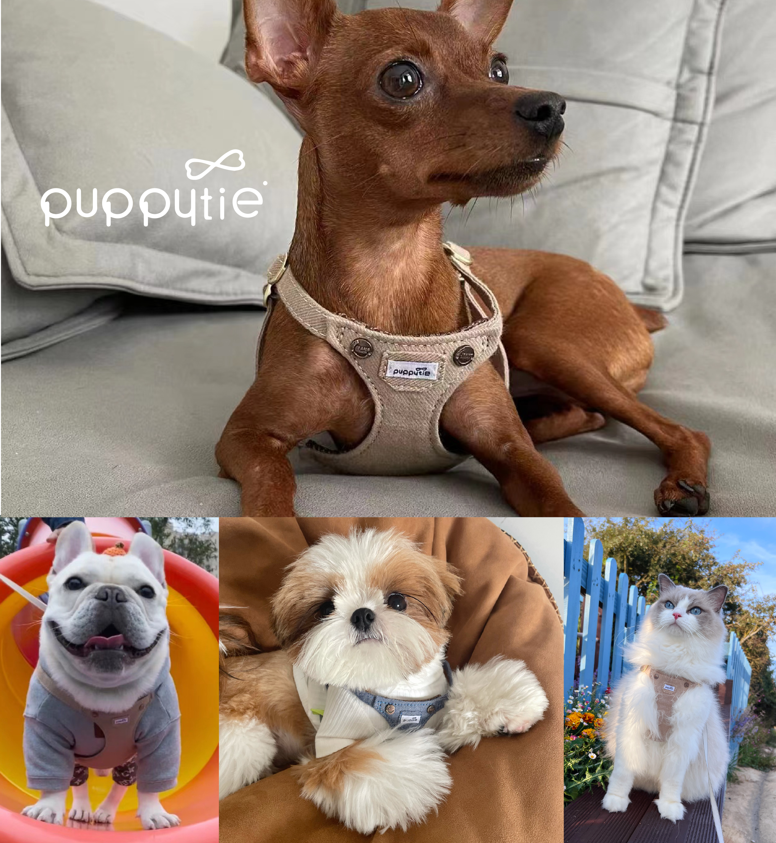 puppytie_口袋牛仔_胸背牽繩組_商品說明頁03 puppytie_口袋牛仔_胸背牽繩組_商品說明頁03