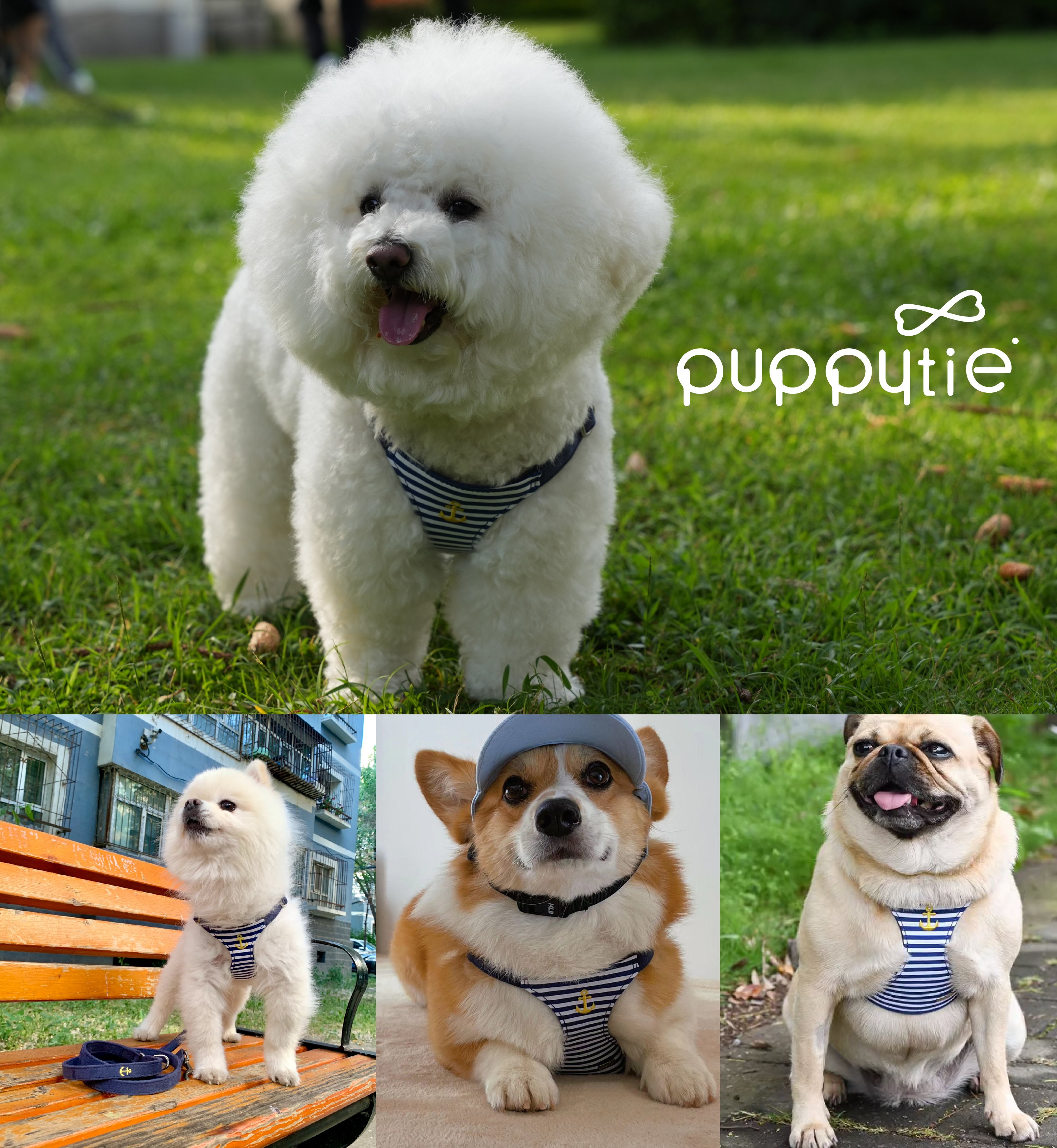 puppytie_海軍風_胸背牽繩組_商品說明頁03 puppytie_海軍風_胸背牽繩組_商品說明頁03