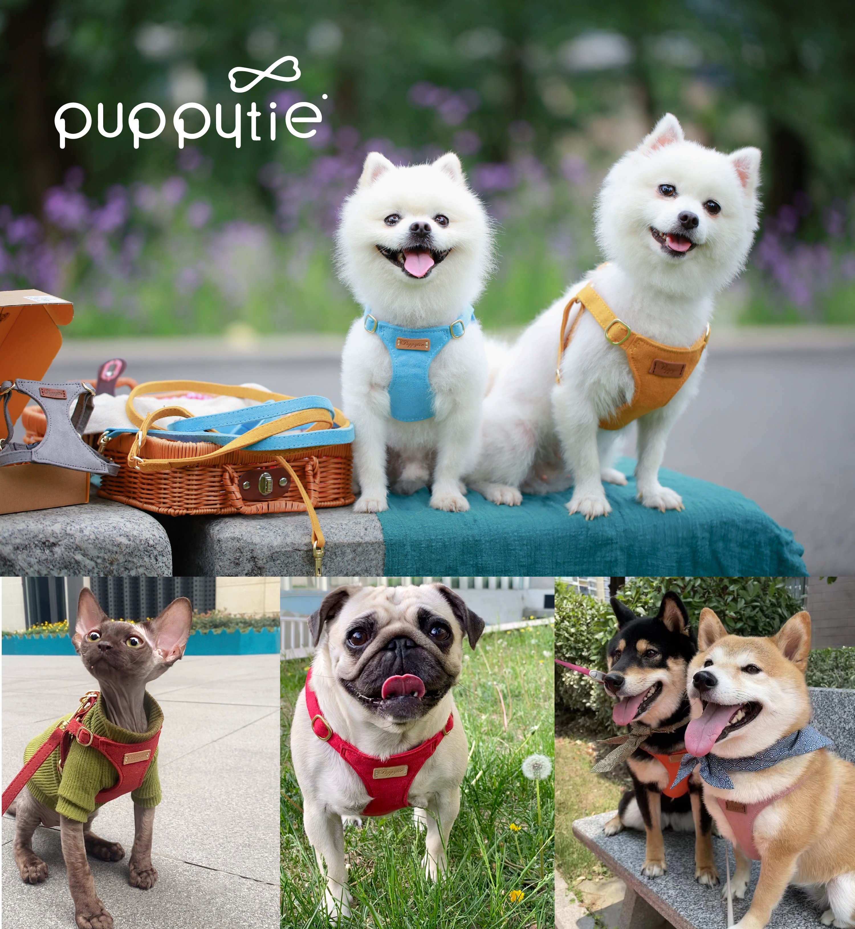 puppytie_純色_胸背牽繩組_商品說明頁03