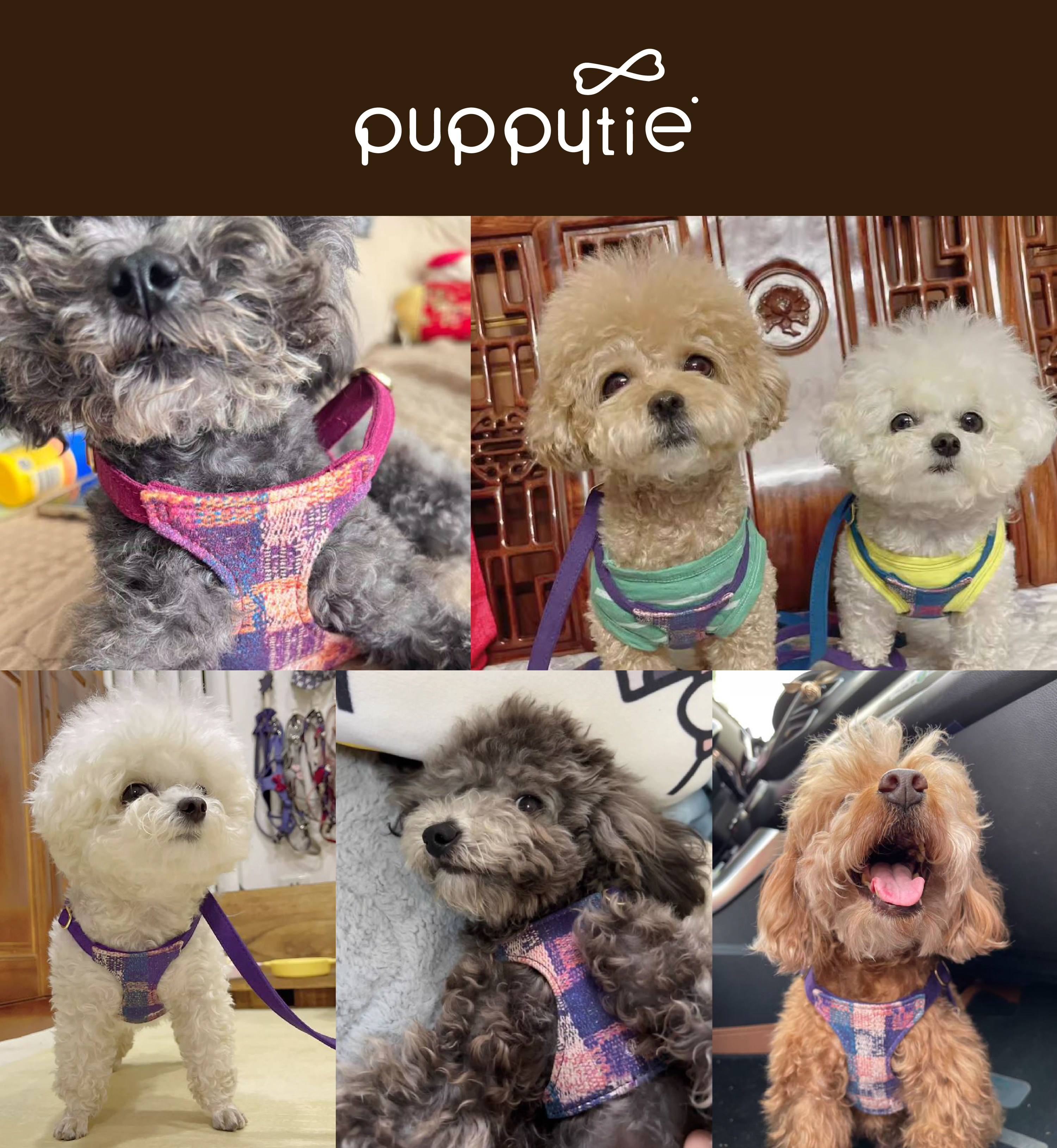 puppytie_莫內風_胸背牽繩組_商品說明頁03 puppytie_莫內風_胸背牽繩組_商品說明頁03