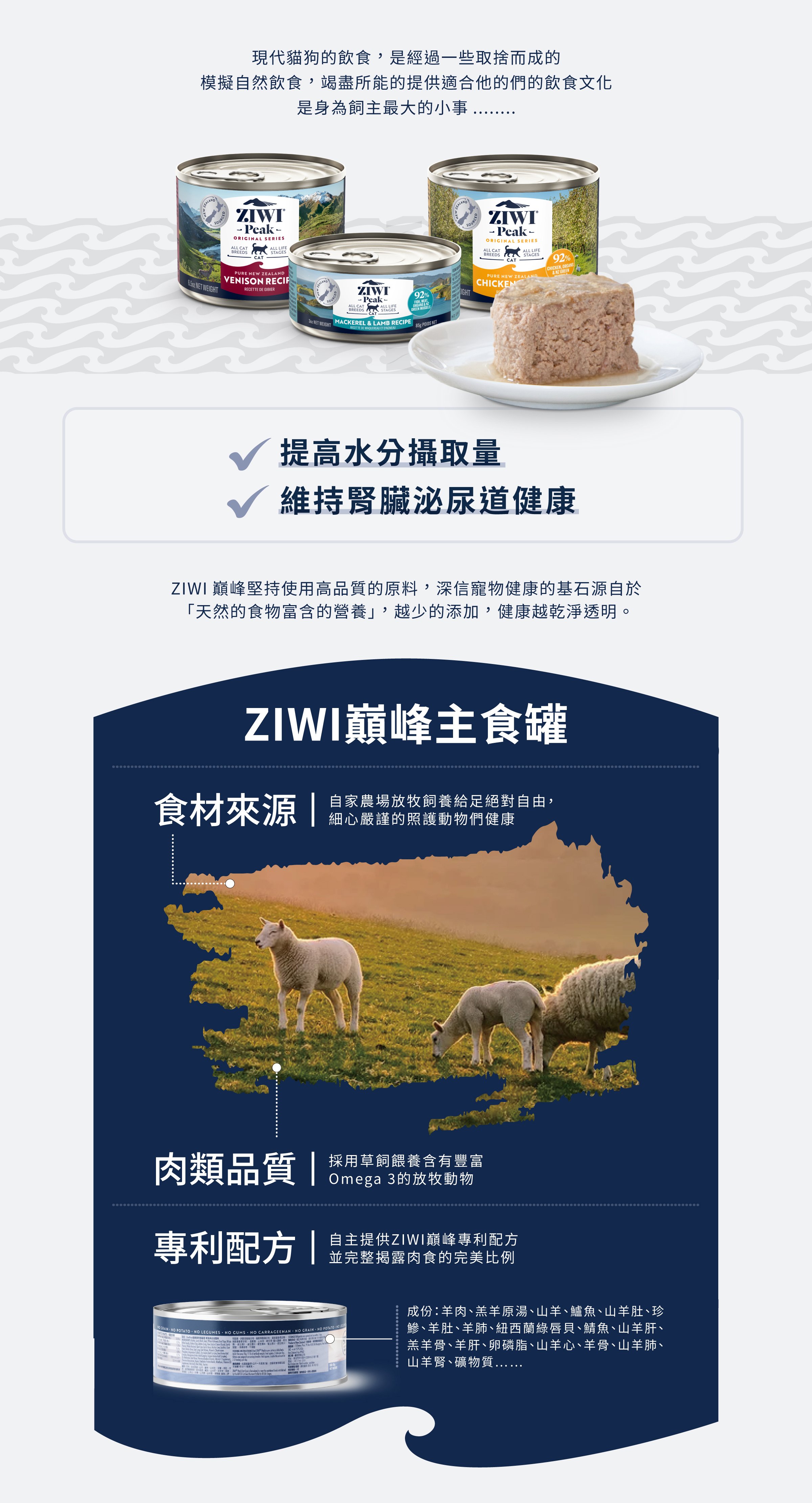 巔峰_罐頭_品牌說明頁01 巔峰_罐頭_品牌說明頁01