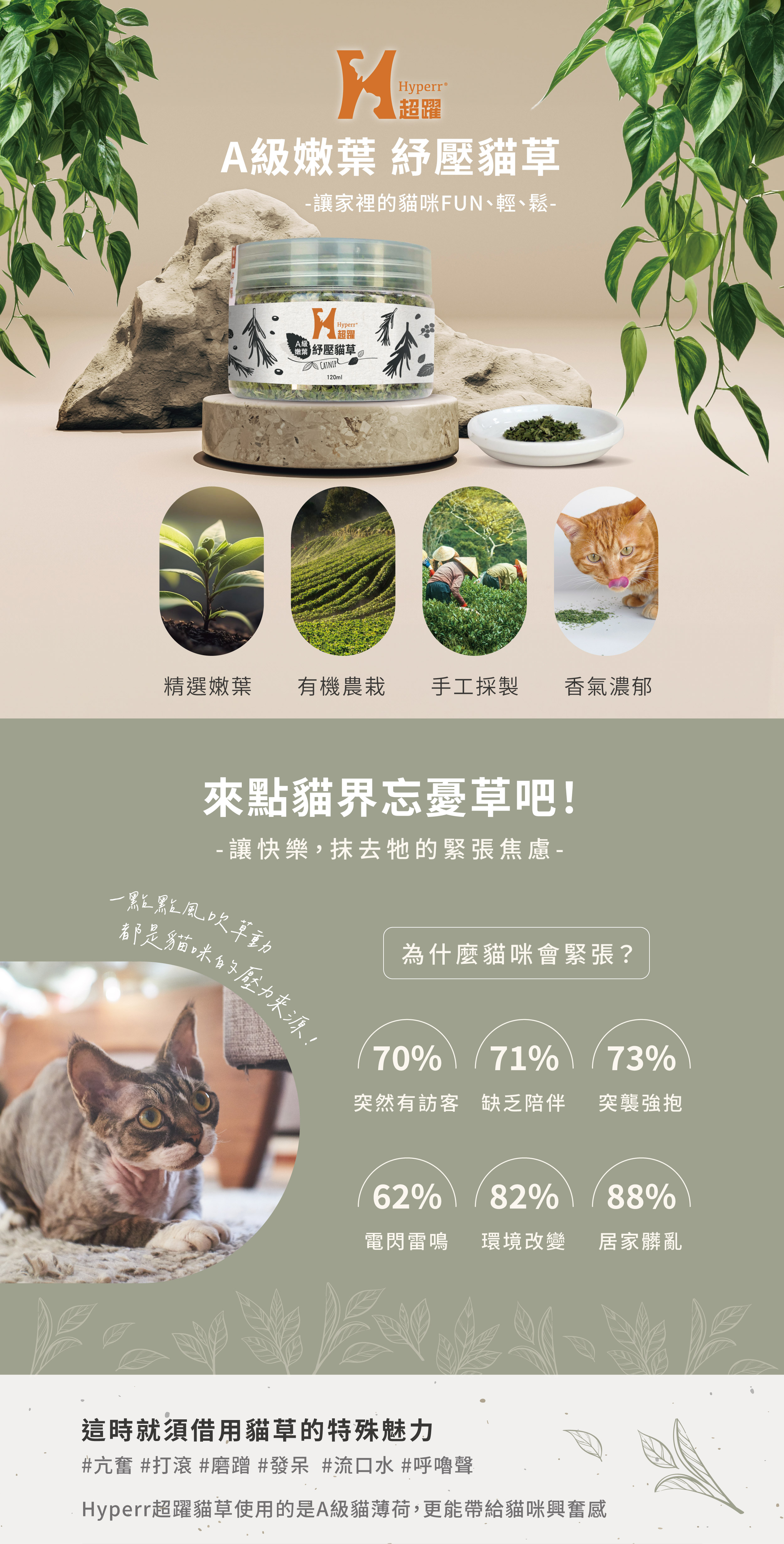 Hyperr貓草，採有機農栽精選嫩葉，香氣濃郁，給貓咪足夠的興奮感，抹去他的緊張焦慮。