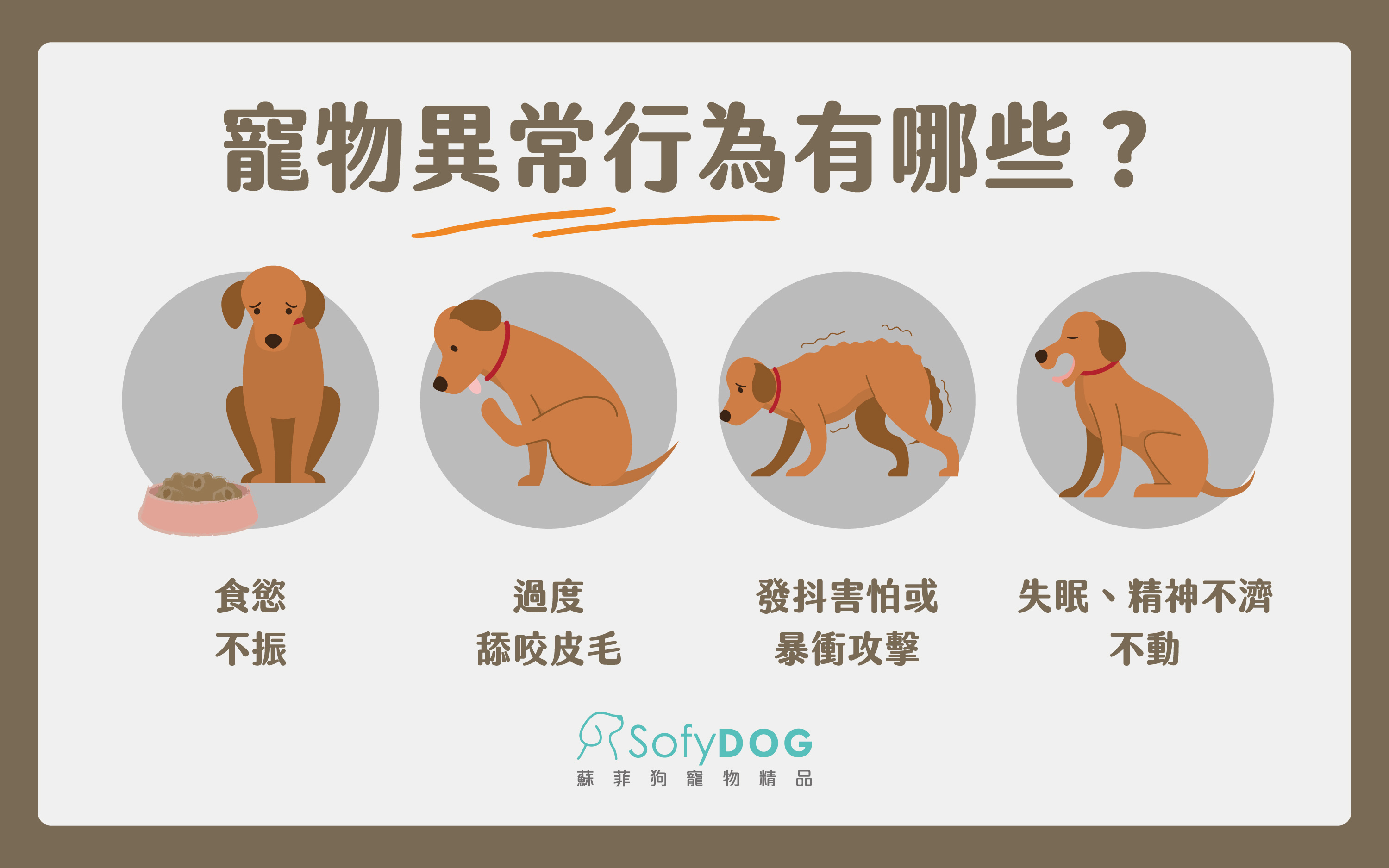 寵物異常行為有哪些 寵物異常行為有哪些