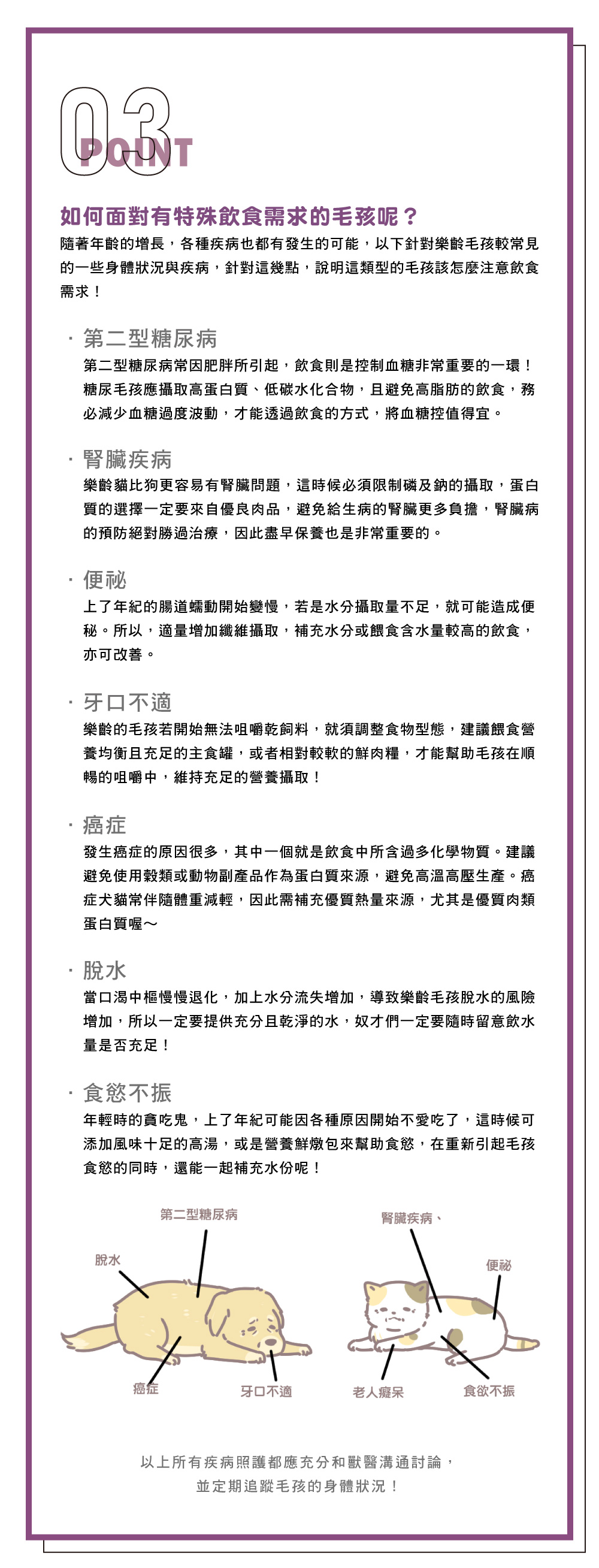 專欄文章_樂齡毛孩全方位照護指南_03