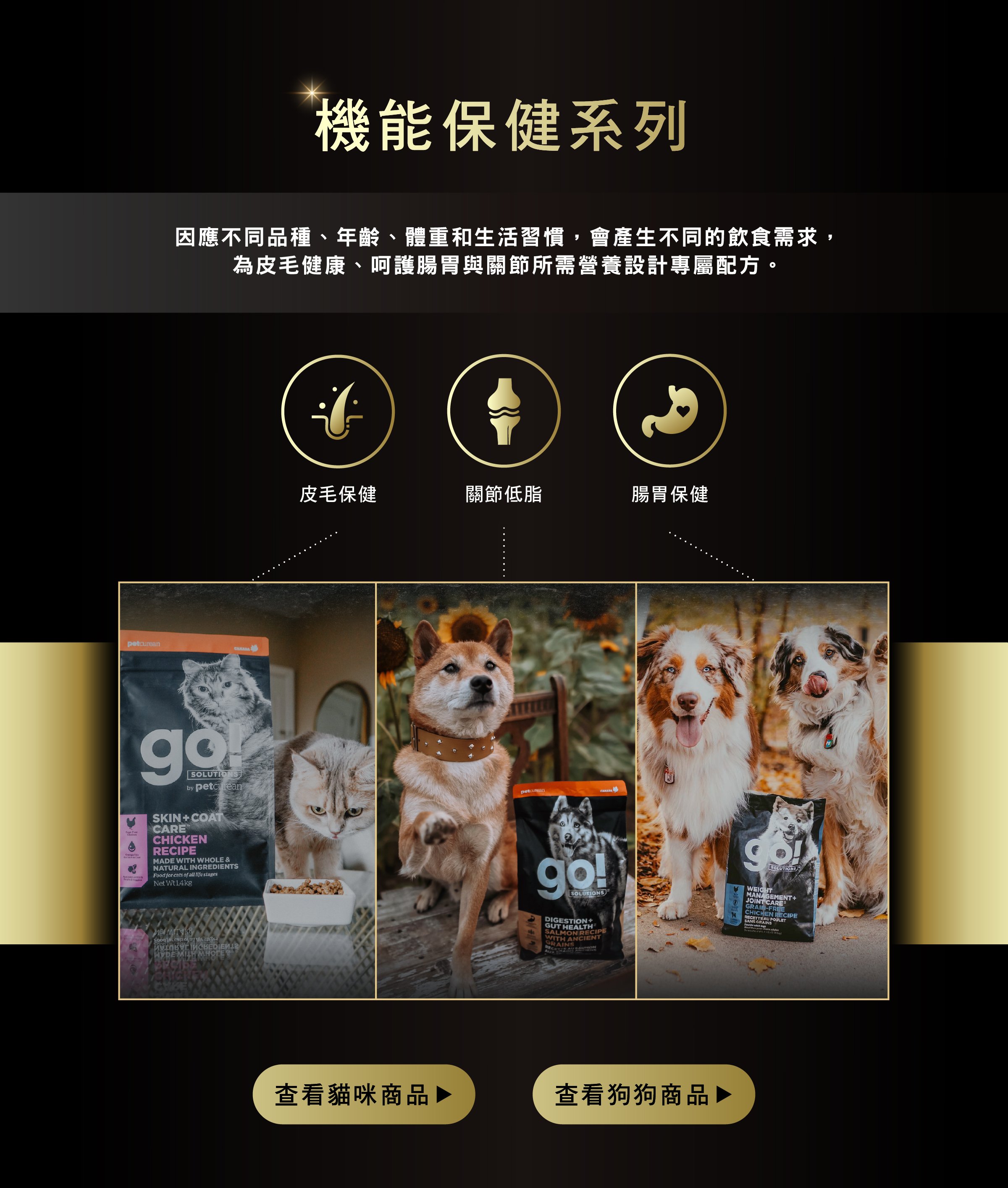 GO系列品專04 GO系列品專04