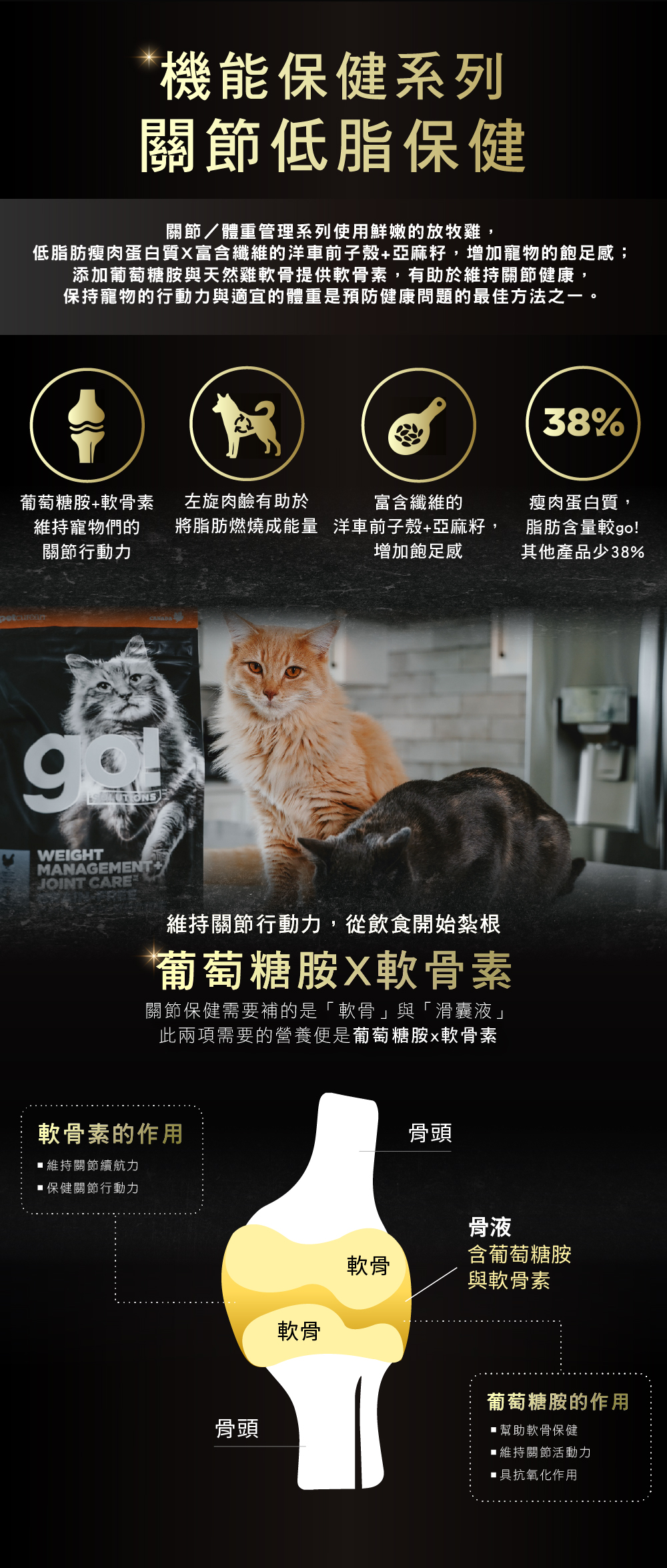 GO系列品專手機05 GO系列品專手機05