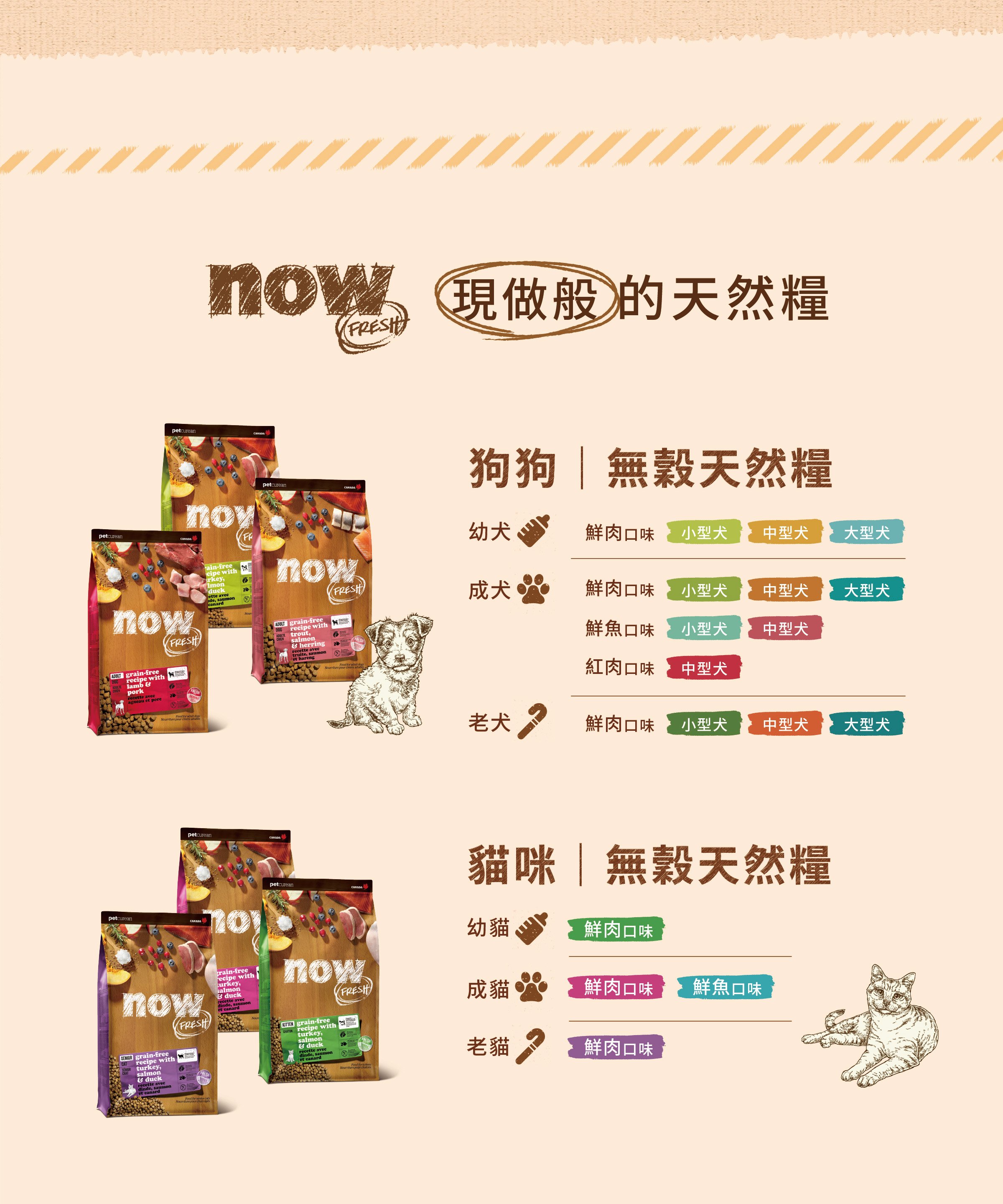 now 鮮肉無穀天然糧