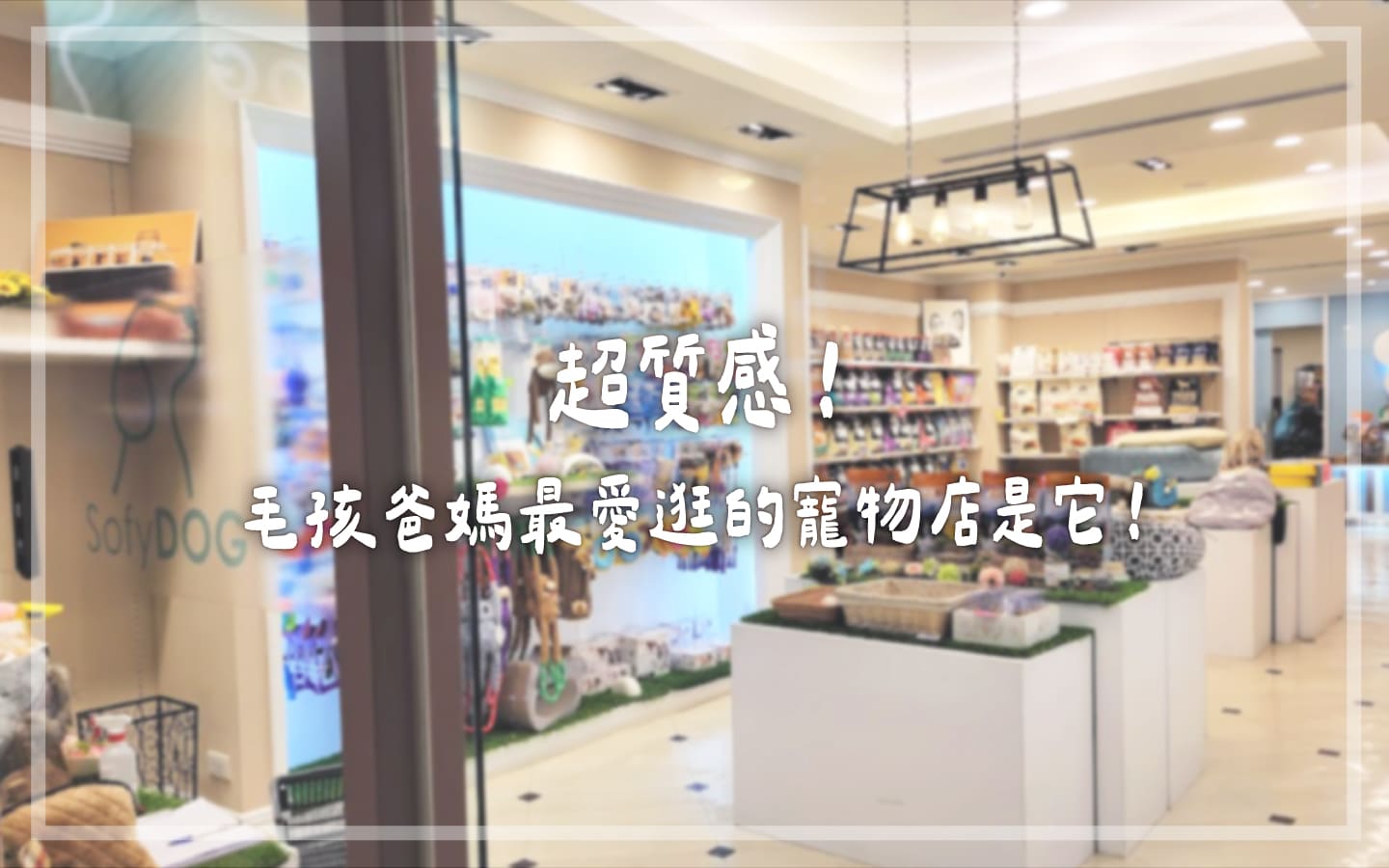 寵物店推薦