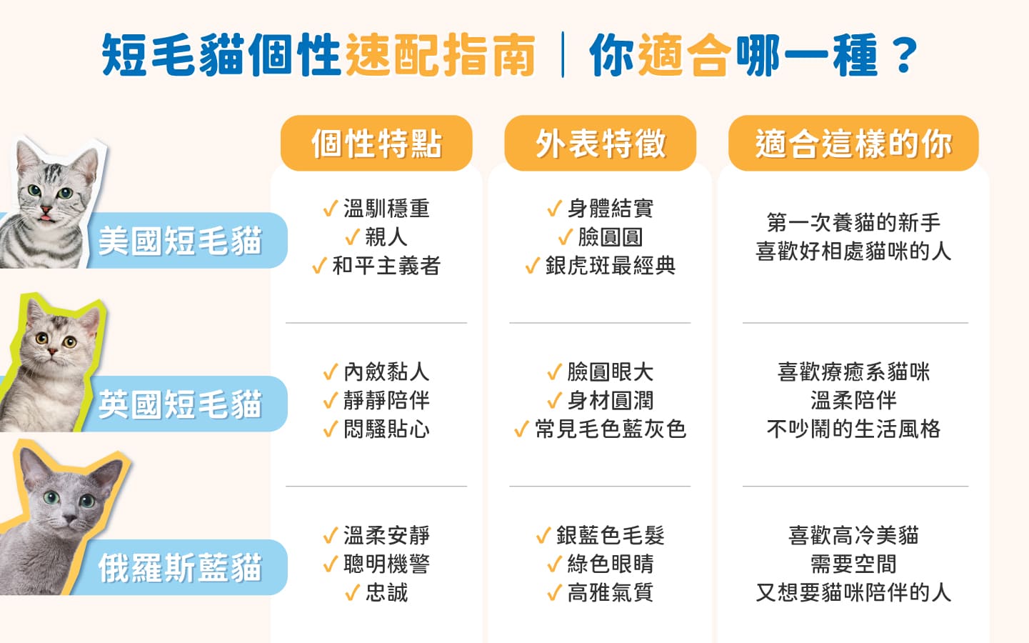 Shorthair_cat_ Compare Shorthair_cat_ Compare