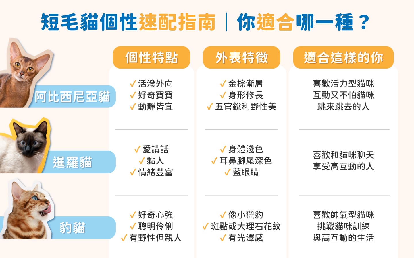 Shorthair_cat_ Compare_2 Shorthair_cat_ Compare_2