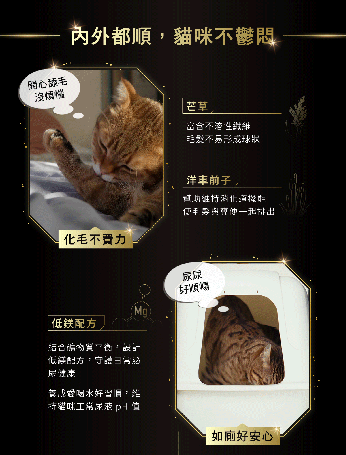 內外都順，貓咪不鬱悶