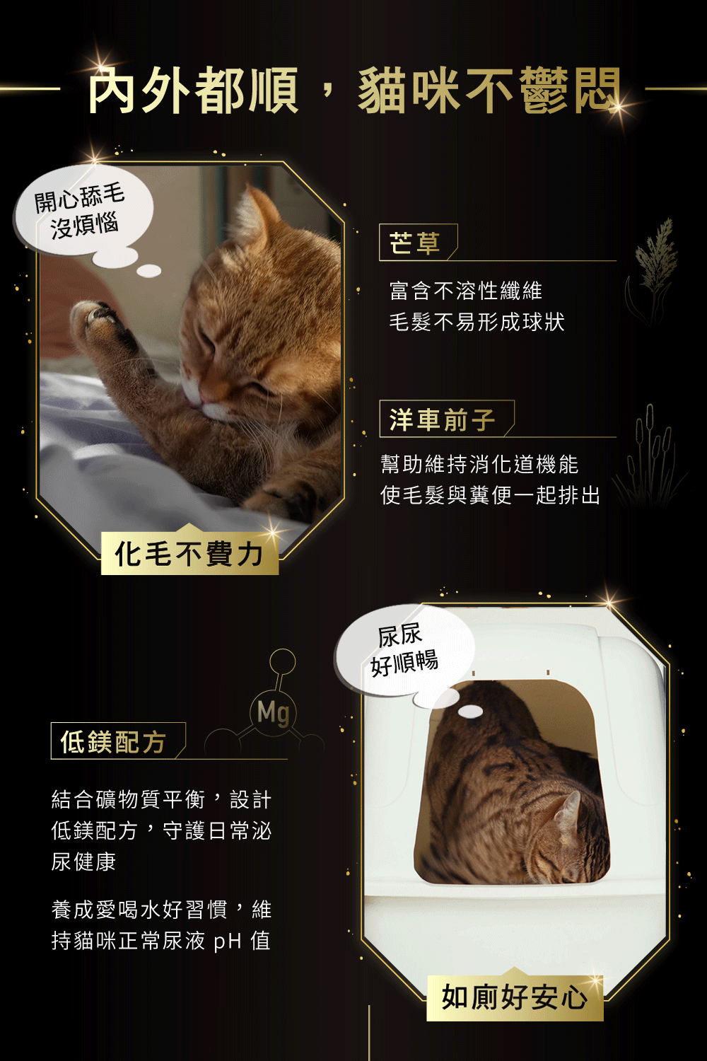 內外都順，貓咪不鬱悶