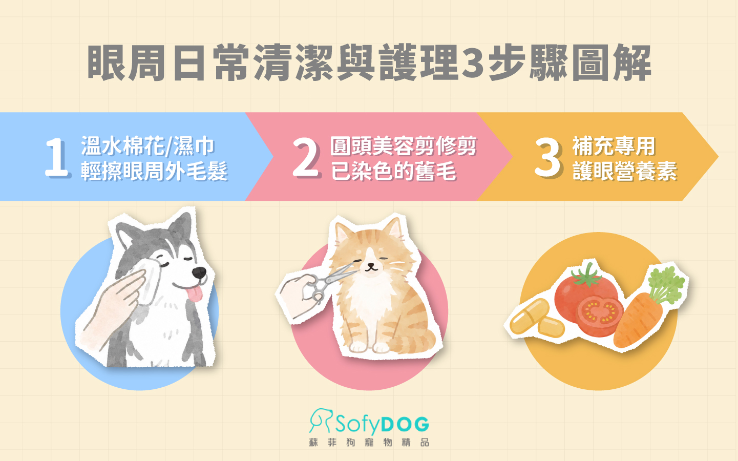 犬貓眼周日常清潔與步驟圖