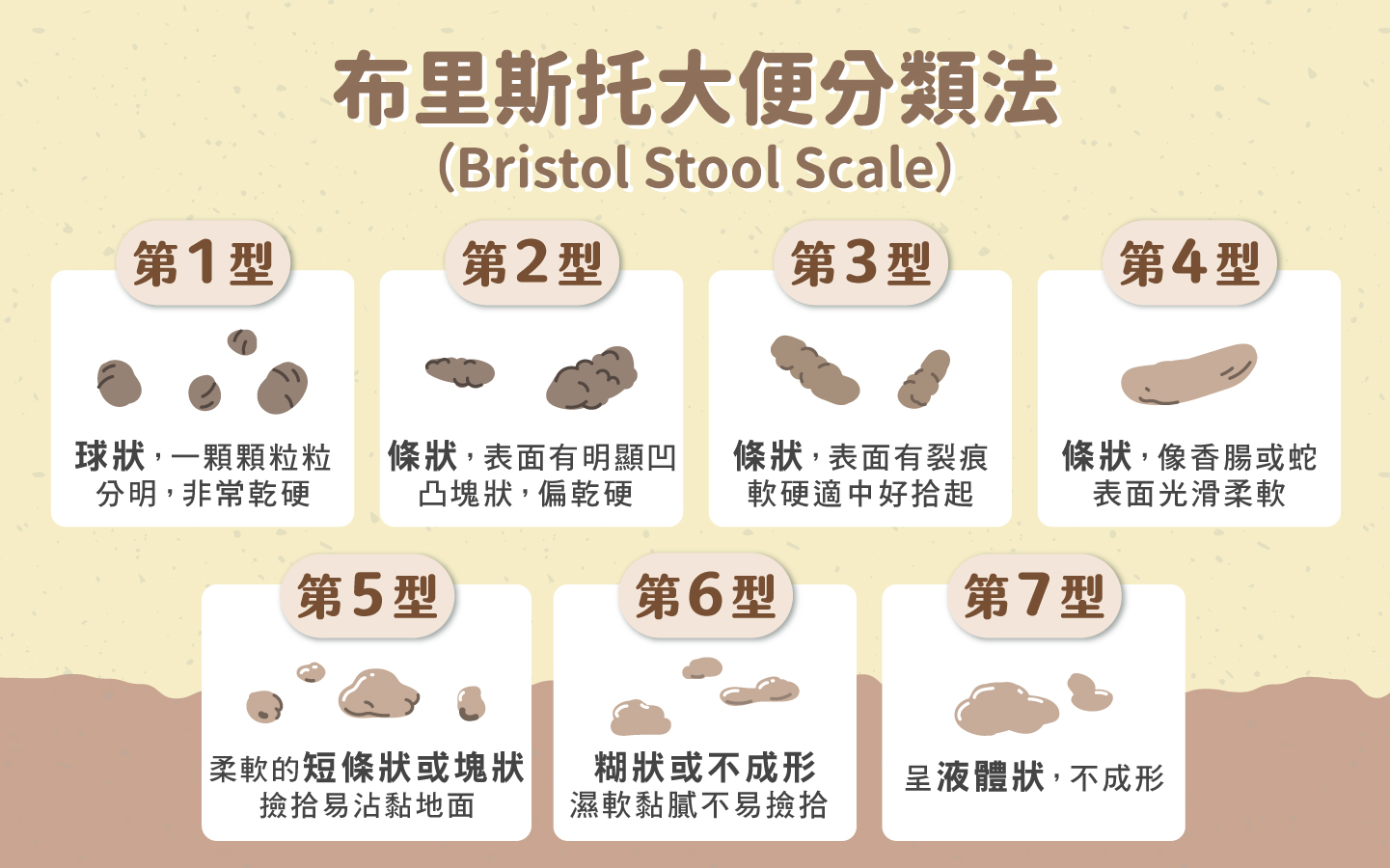貓咪便便 7 型對照圖解 貓咪便便 7 型對照圖解
