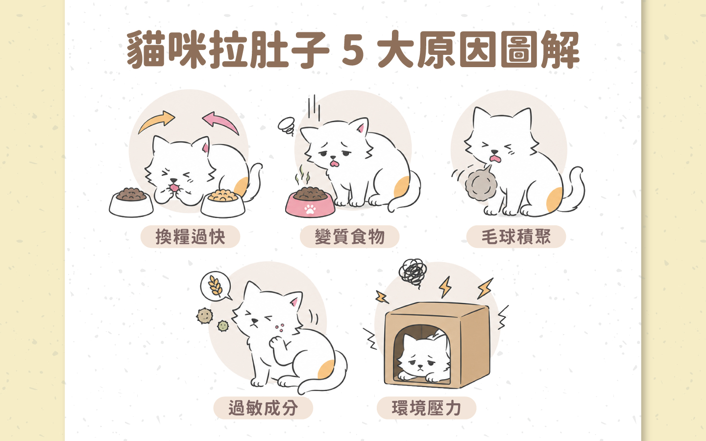 貓咪拉肚子 5 大原因情境圖 貓咪拉肚子 5 大原因情境圖