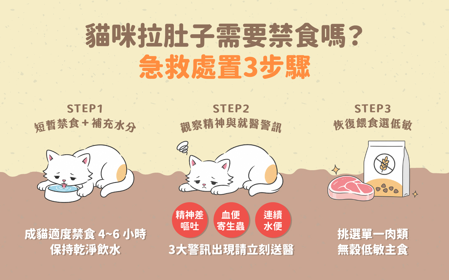 貓咪拉肚子照顧與急救 3 步驟圖解 貓咪拉肚子照顧與急救 3 步驟圖解
