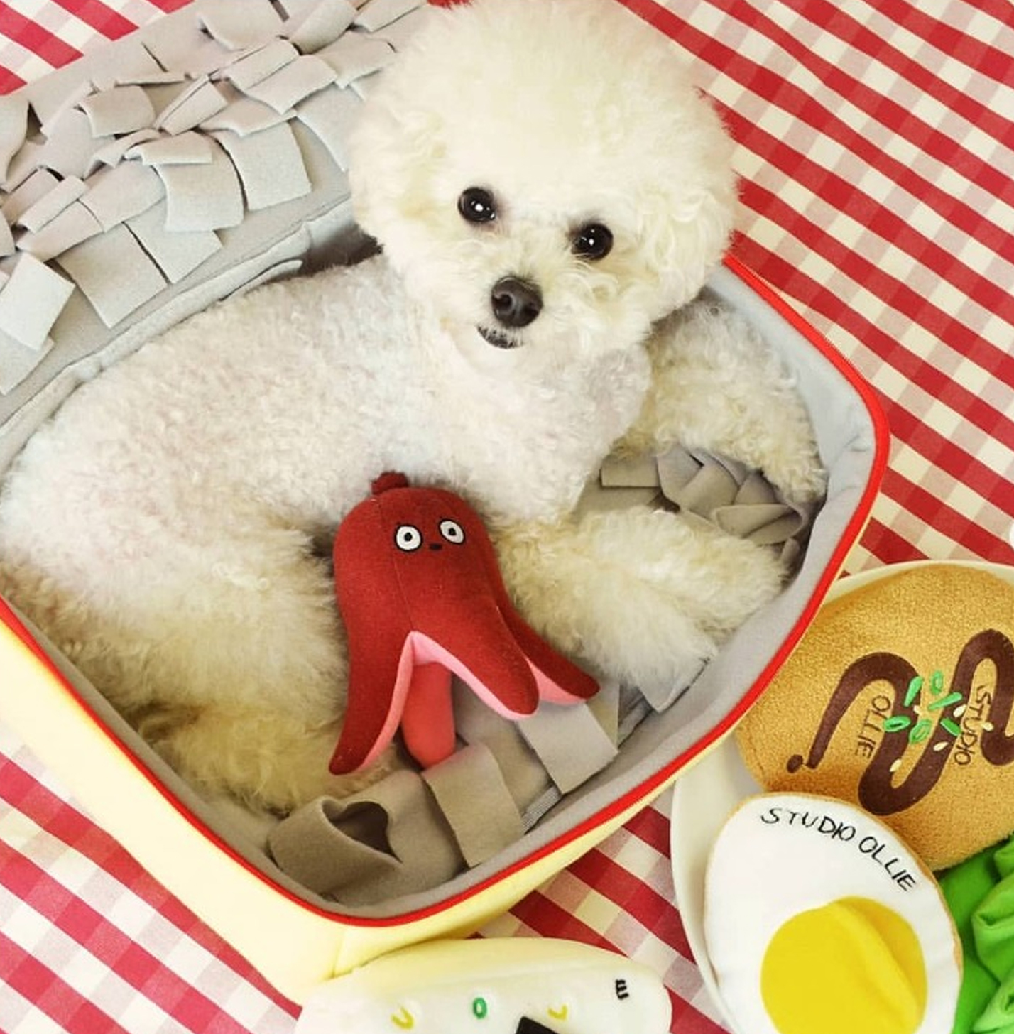 Studio Ollie 炸豬排 寵物嗅聞玩具 商品說明頁 Studio Ollie 炸豬排 寵物嗅聞玩具 商品說明頁