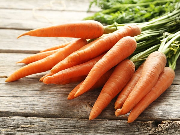 貓咪狗狗可以吃胡蘿蔔