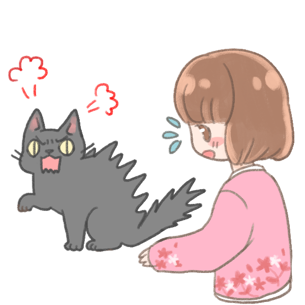 四點發現貓咪關節炎徵兆_4 四點發現貓咪關節炎徵兆_4