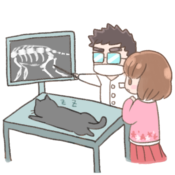 四點發現貓咪關節炎徵兆_6 四點發現貓咪關節炎徵兆_6