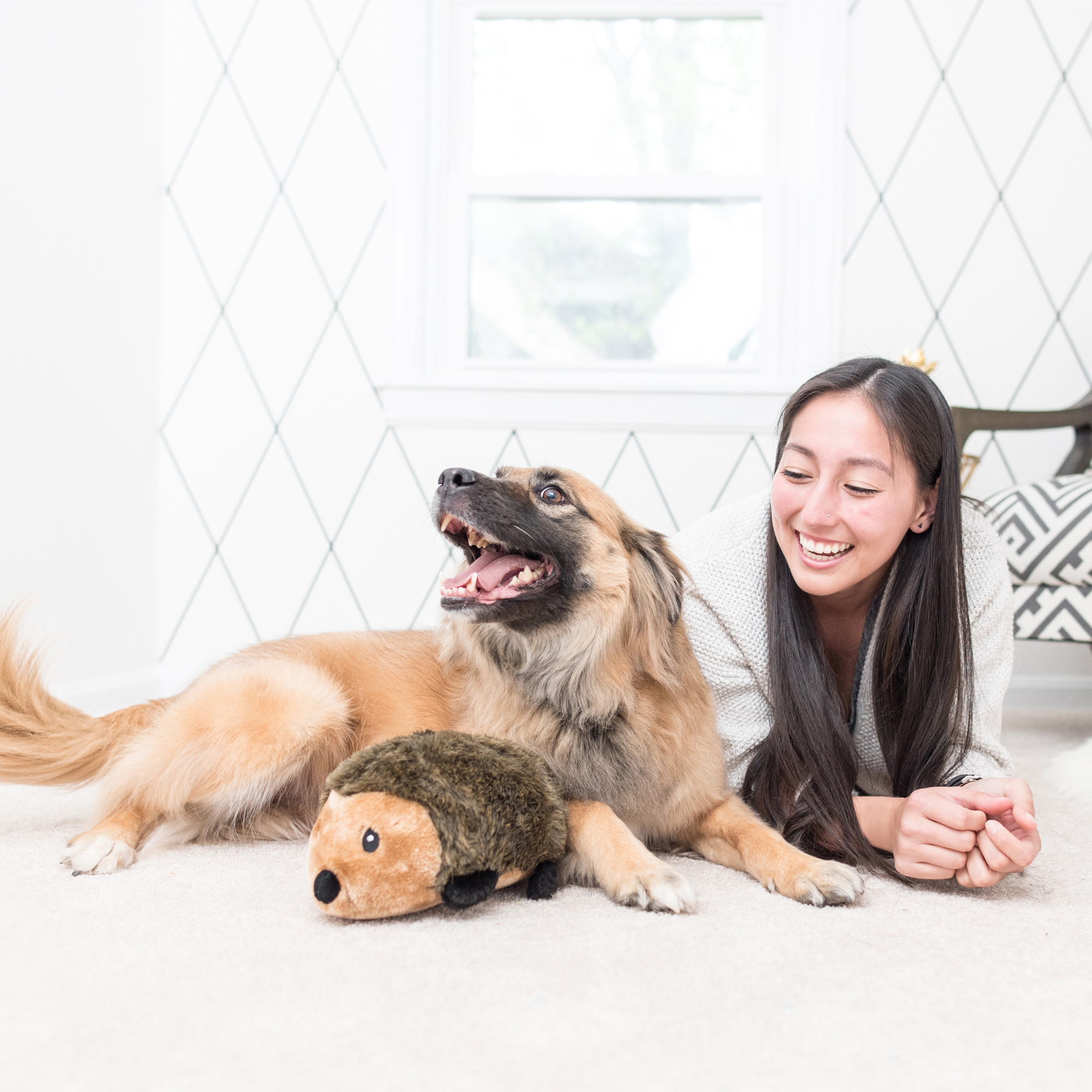 ZippyPaws 經典大刺蝟 有聲玩具 情境照